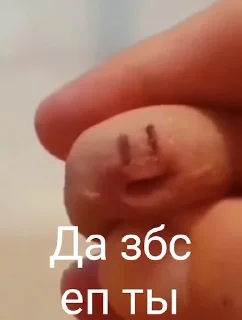 🤪