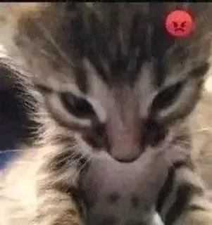 😡