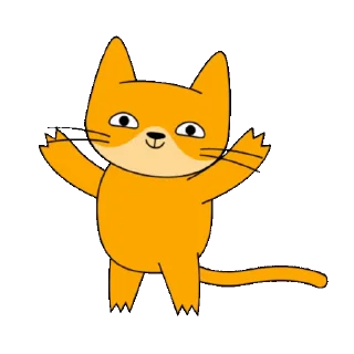 🐱