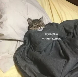⚰️