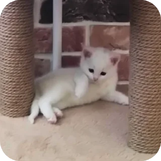 🧱