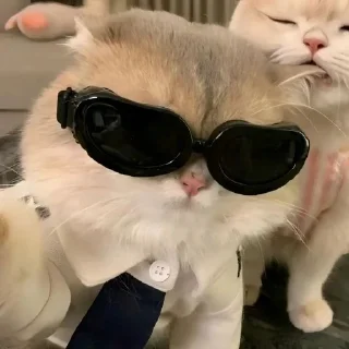 🕶️