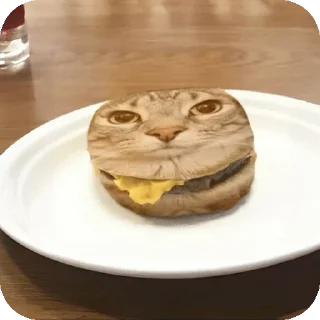 🍲