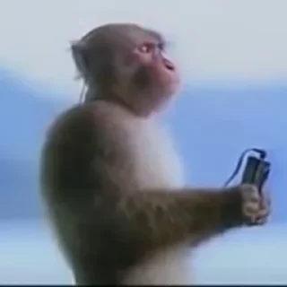 🎧