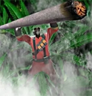 🌿