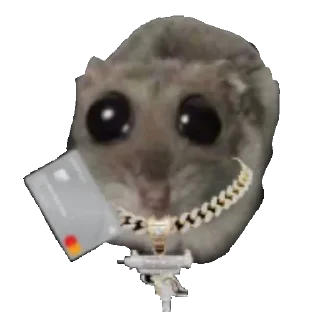 💸