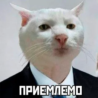 🤭