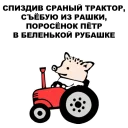 🐷