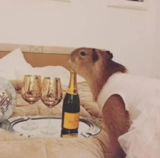 🥂