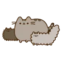 🐱