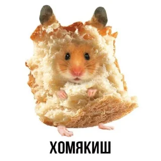 🤪