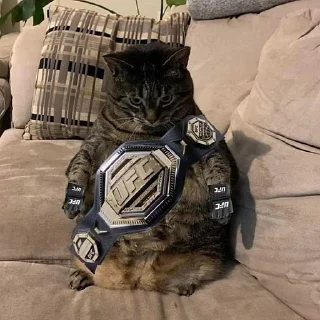 🥇
