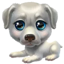🐶