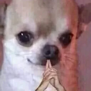 🙏