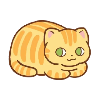 Orange cat @tgsticker