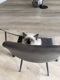 😎