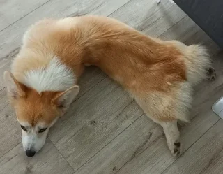 🌟