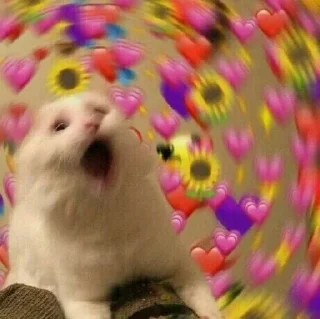 💓