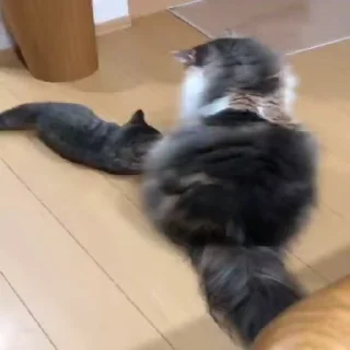 👊