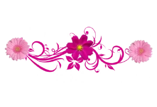 🌺
