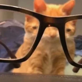 😎