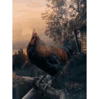 🐔