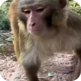 😒