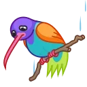 🐦