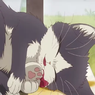 😛