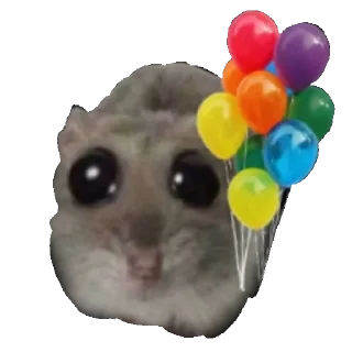 🎈