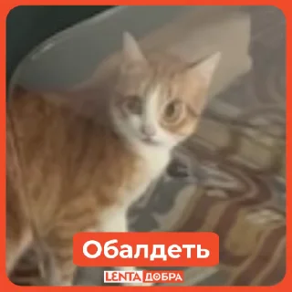 😱
