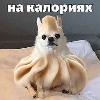 🥟