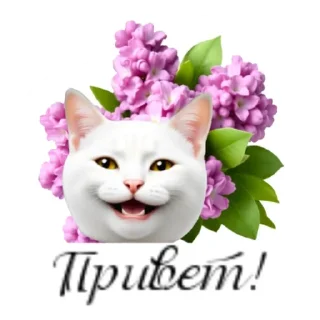 ❤