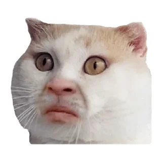😶
