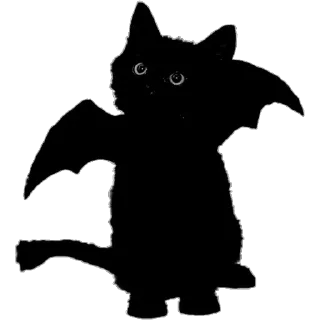 🐈‍⬛