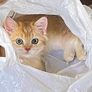 😐