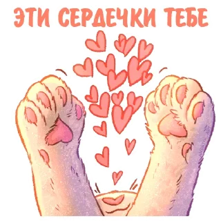 🙌