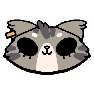 🐱