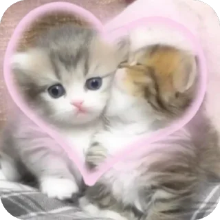 ❤