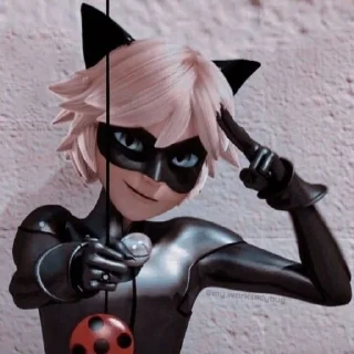 🐱