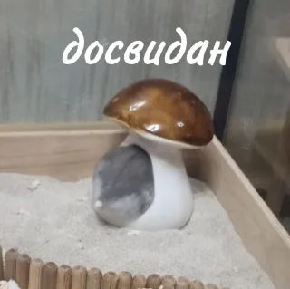 👋