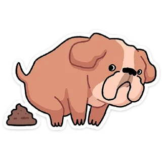 💩