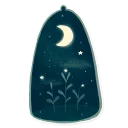 🌙