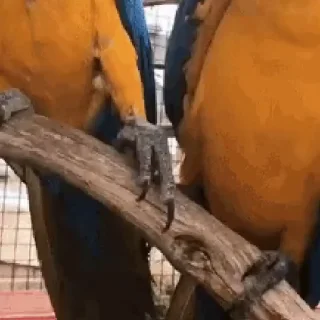 🤝