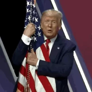 🇺🇸