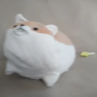🏃