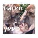 😵