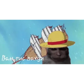 🐵