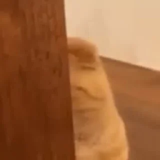 👀