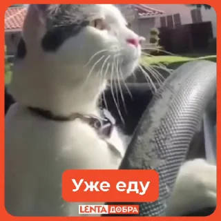 🚗